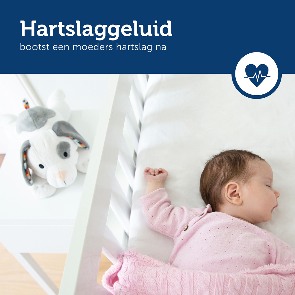 Knuffel Zazu Heartbeat Dex Hondje hartslaggeluid