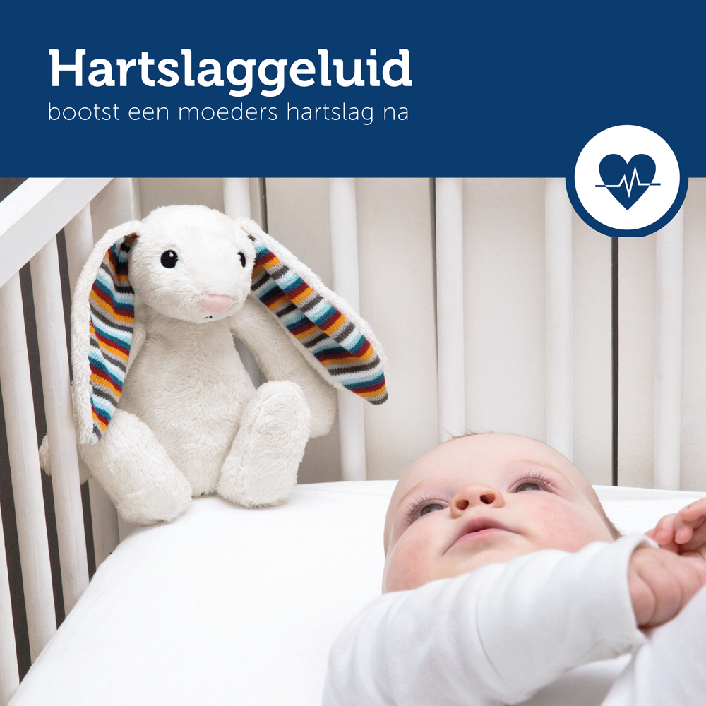 Knuffel Zazu Heartbeat Bibi Konijn hartslaggeluid