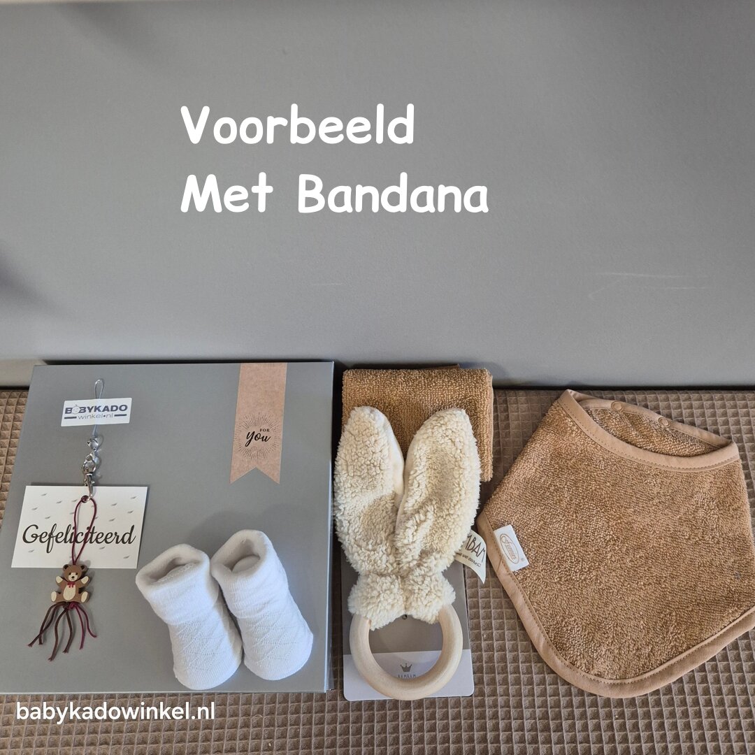 Babycadeaudoosje met slab en houten bijtring