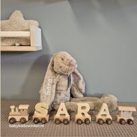 Houten naamtreintje met Knuffel Rabbit Richie