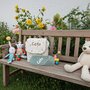 Rugtas Babycadeauset Jollein Teddy Lovely met naam