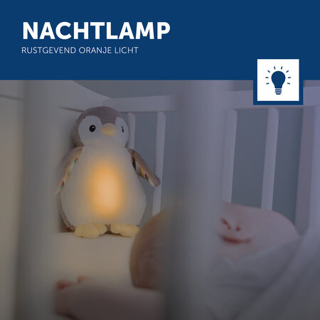 Slaapknuffel Phoebe met lampje