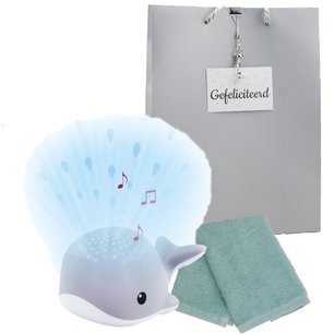 Baby Zazu lichtprojector Wally grijs met muziek Baby Zazu lichtprojector Wally grijs met muziek