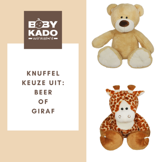 Knuffel 45 cm met naam op shirtje