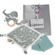 Baby cadeau little dutch stonegreen met naam