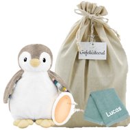 Slaapknuffel Phoebe met lampje Zazu met naam Slaapknuffel Phoebe met lampje Zazu met naam