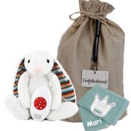 Knuffeltje Zazu Heartbeat Bibi Konijn met naam Knuffeltje Zazu Heartbeat Bibi Konijn met naam