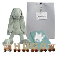 Houten naamtreintje Rabbit Richie Stonegreen Houten naamtreintje Rabbit Richie Stonegreen