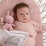 Babykoffertje roze met nijntje met naam