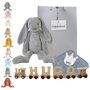 Houten naamtreintje Knuffel Rabbit Richie